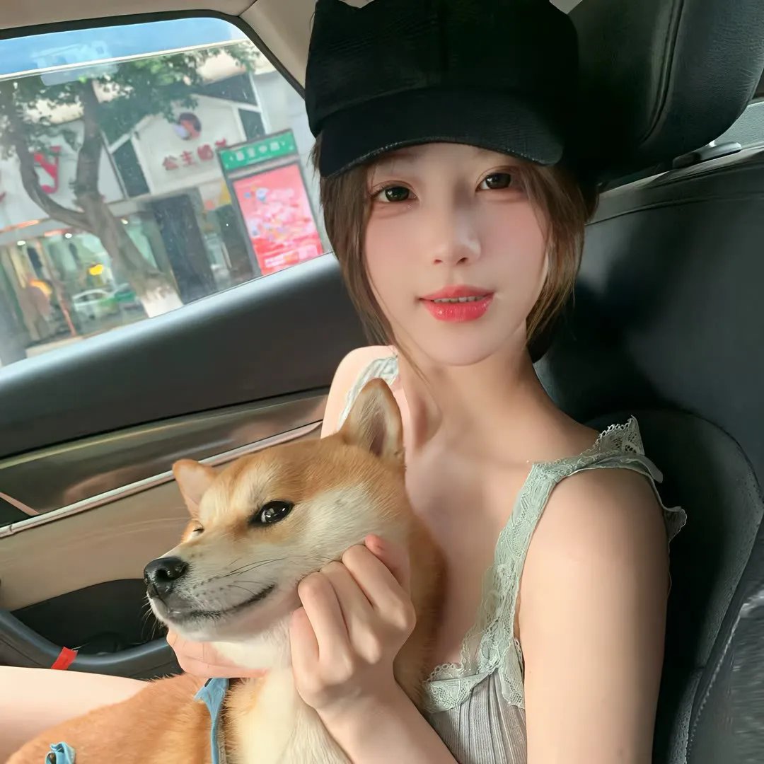我的法国电影之旅